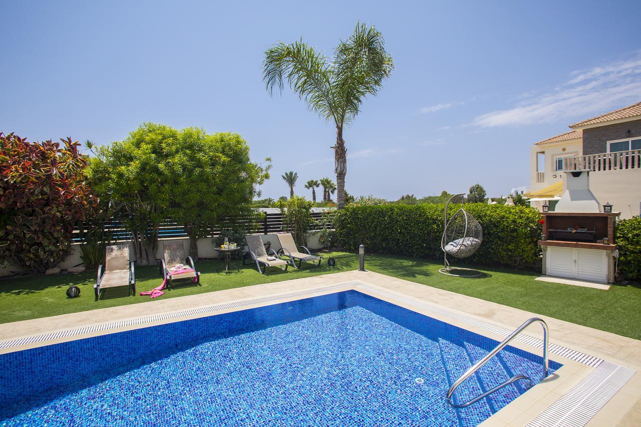 Villa Elias Agia Napa