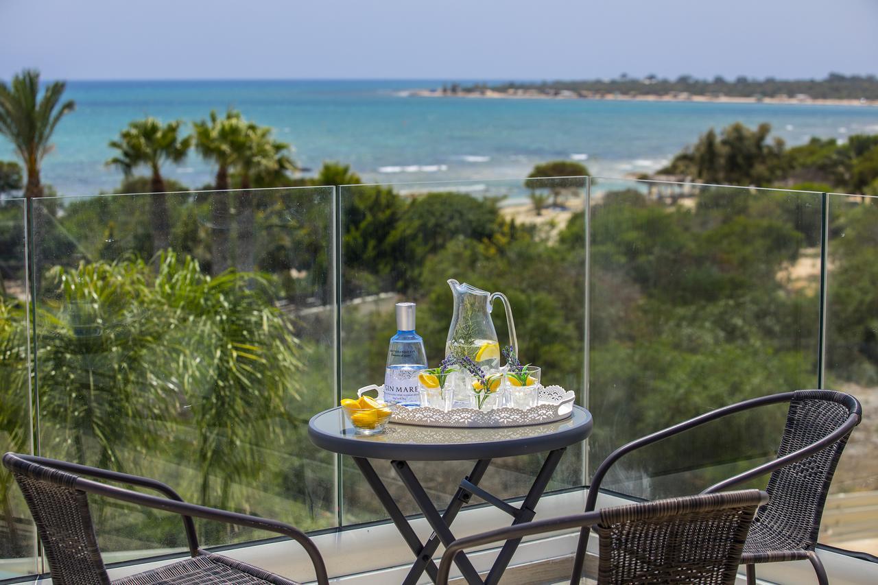Villa Elias Agia Napa